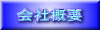 ЊTv 